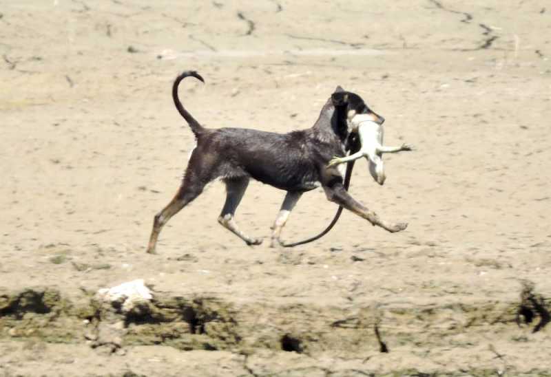 Перу, в натуре! Крайний север, декабрь 2025 – январь 2026