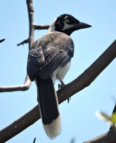 Перу, в натуре! Крайний север, декабрь 2025 – январь 2026