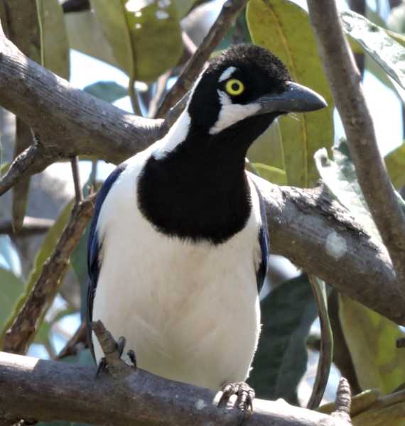 Перу, в натуре! Крайний север, декабрь 2025 – январь 2026