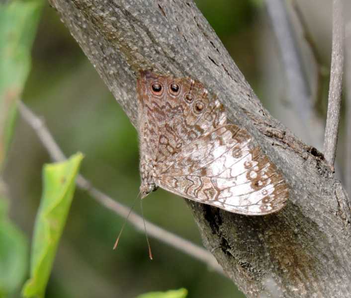 Перу, в натуре! Крайний север, декабрь 2025 – январь 2026