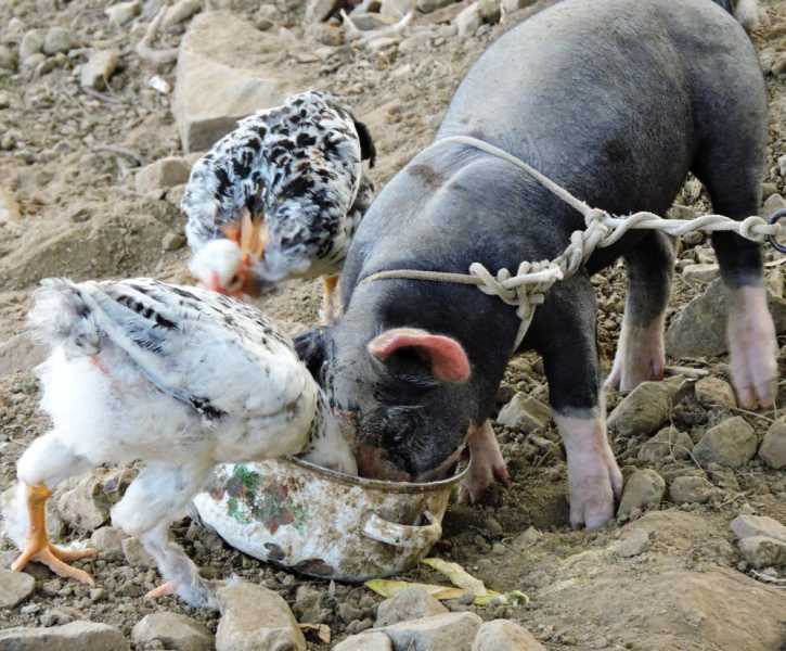 Перу, в натуре! Крайний север, декабрь 2025 – январь 2026