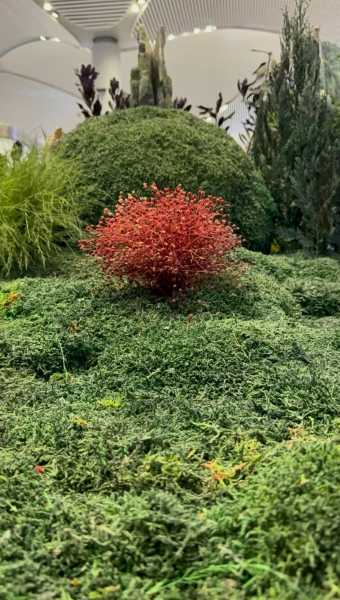 Блестяшки и вкусняшки: Новый Год в Чиангмае, Хуахин, Бангкок