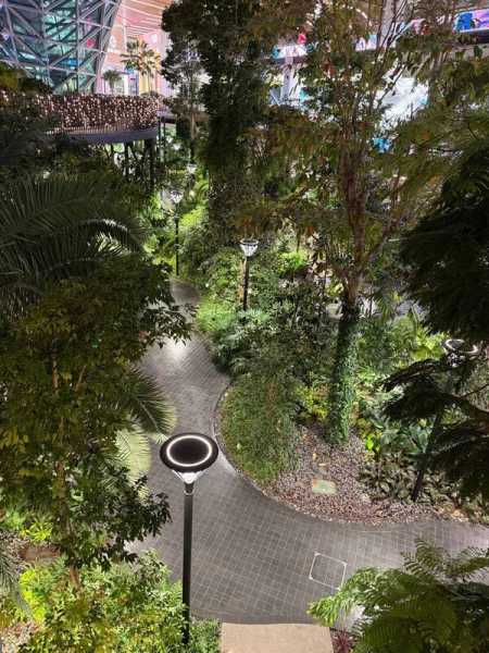 Блестяшки и вкусняшки: Новый Год в Чиангмае, Хуахин, Бангкок