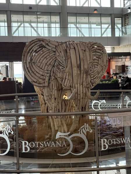 Южно-африканские приключения часть 2 20000 км (Намибия, Ботсвана, Замбия, Малави, Мозамбик) октябрь-декабрь 2025