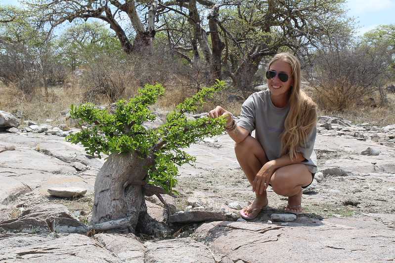 Южно-африканские приключения часть 2 20000 км (Намибия, Ботсвана, Замбия, Малави, Мозамбик) октябрь-декабрь 2025