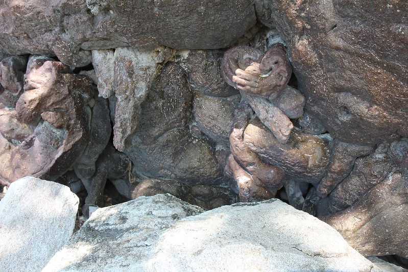 Южно-африканские приключения часть 2 20000 км (Намибия, Ботсвана, Замбия, Малави, Мозамбик) октябрь-декабрь 2025