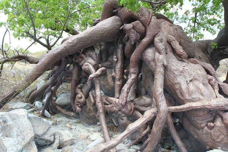 Южно-африканские приключения часть 2 20000 км (Намибия, Ботсвана, Замбия, Малави, Мозамбик) октябрь-декабрь 2025