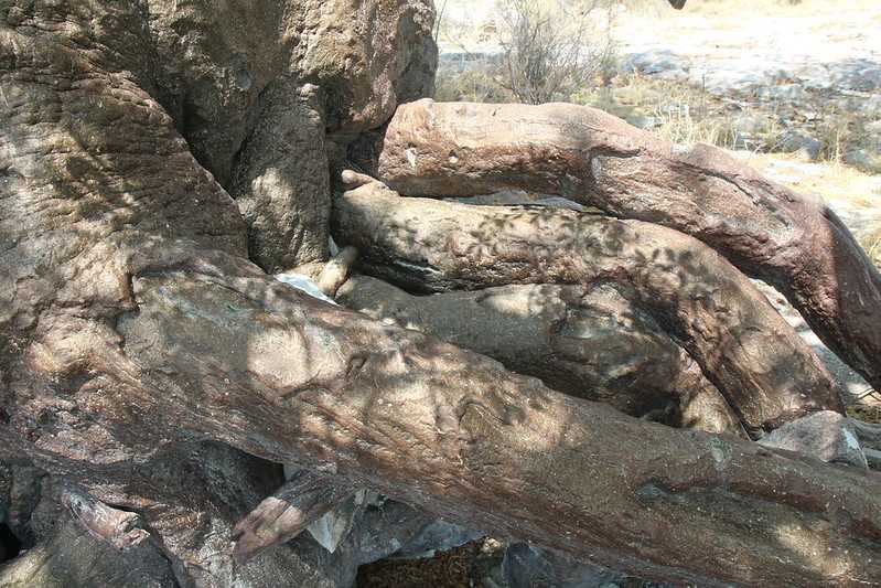 Южно-африканские приключения часть 2 20000 км (Намибия, Ботсвана, Замбия, Малави, Мозамбик) октябрь-декабрь 2025