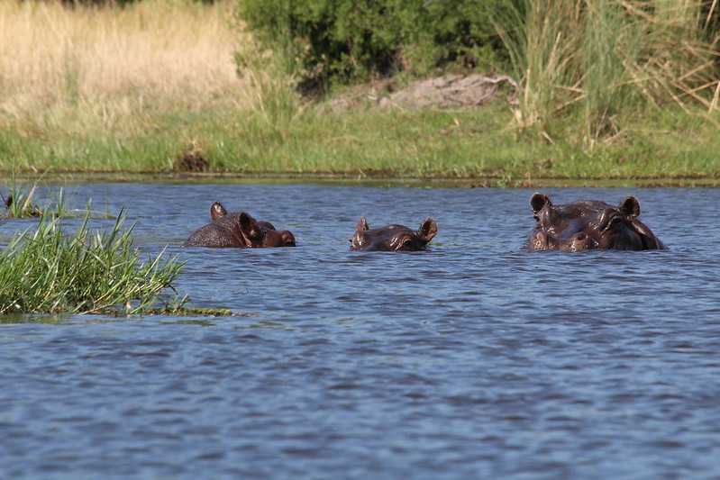Южно-африканские приключения часть 2 20000 км (Намибия, Ботсвана, Замбия, Малави, Мозамбик) октябрь-декабрь 2025
