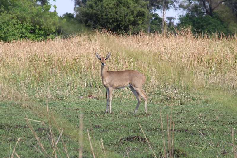 Южно-африканские приключения часть 2 20000 км (Намибия, Ботсвана, Замбия, Малави, Мозамбик) октябрь-декабрь 2025
