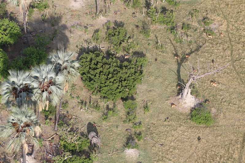 Южно-африканские приключения часть 2 20000 км (Намибия, Ботсвана, Замбия, Малави, Мозамбик) октябрь-декабрь 2025