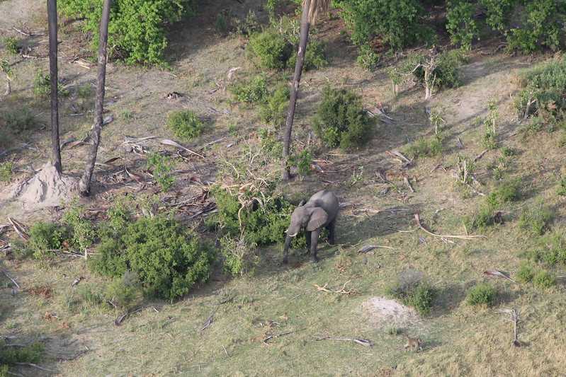 Южно-африканские приключения часть 2 20000 км (Намибия, Ботсвана, Замбия, Малави, Мозамбик) октябрь-декабрь 2025