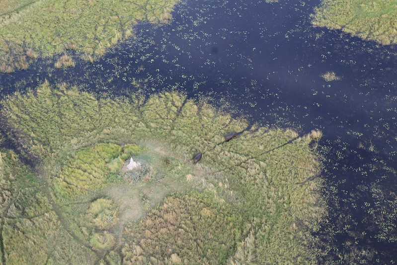 Южно-африканские приключения часть 2 20000 км (Намибия, Ботсвана, Замбия, Малави, Мозамбик) октябрь-декабрь 2025