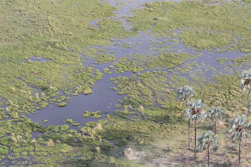 Южно-африканские приключения часть 2 20000 км (Намибия, Ботсвана, Замбия, Малави, Мозамбик) октябрь-декабрь 2025