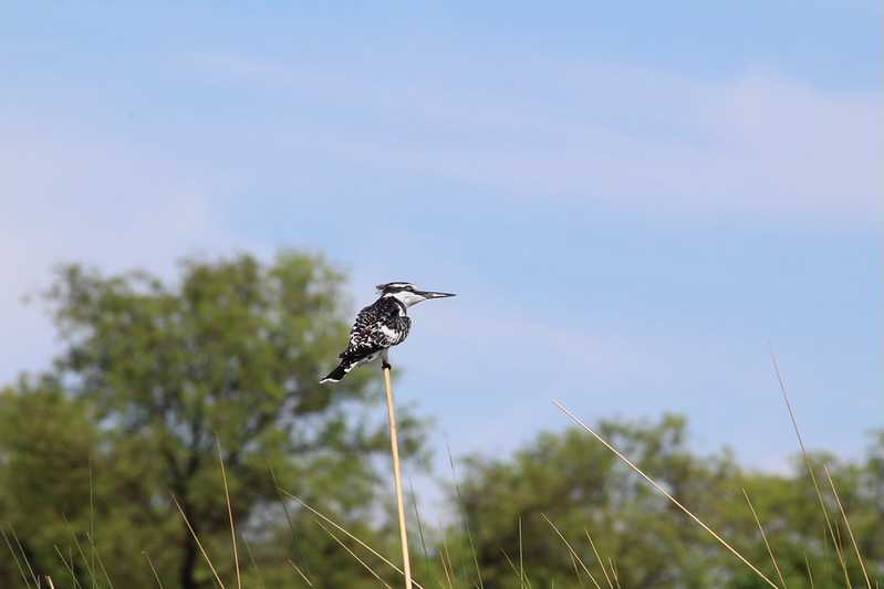 Южно-африканские приключения часть 2 20000 км (Намибия, Ботсвана, Замбия, Малави, Мозамбик) октябрь-декабрь 2025