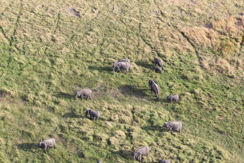 Южно-африканские приключения часть 2 20000 км (Намибия, Ботсвана, Замбия, Малави, Мозамбик) октябрь-декабрь 2025