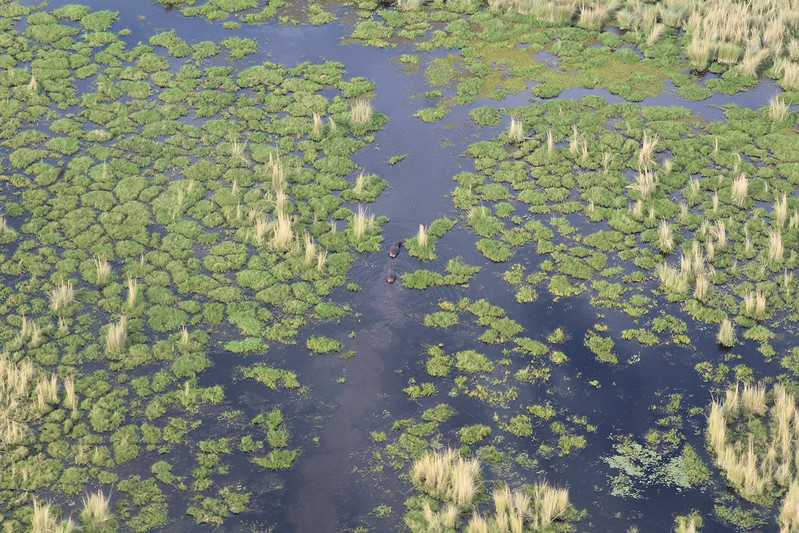 Южно-африканские приключения часть 2 20000 км (Намибия, Ботсвана, Замбия, Малави, Мозамбик) октябрь-декабрь 2025