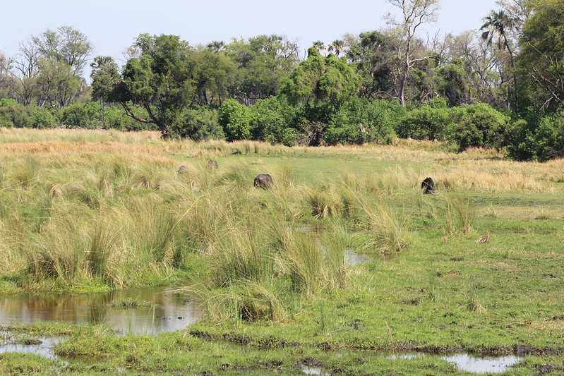 Южно-африканские приключения часть 2 20000 км (Намибия, Ботсвана, Замбия, Малави, Мозамбик) октябрь-декабрь 2025