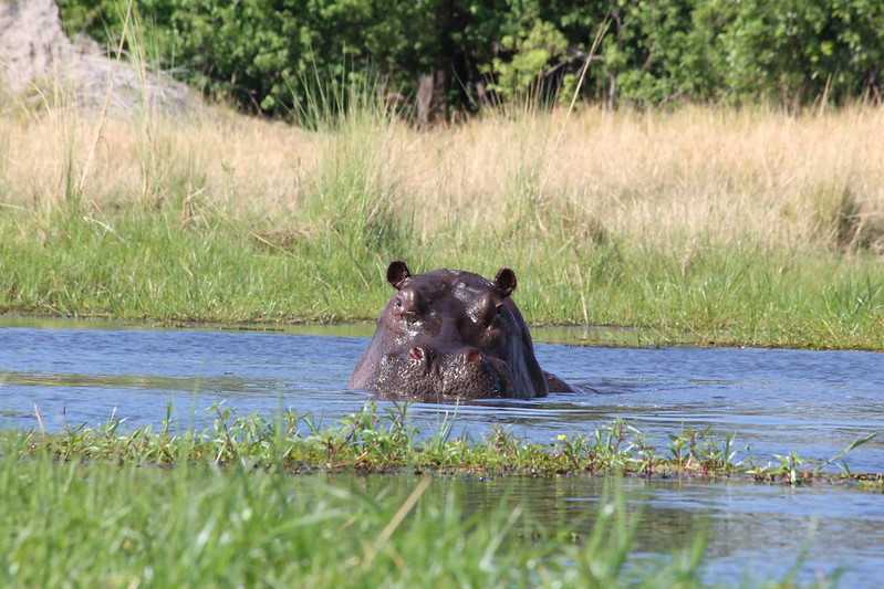 Южно-африканские приключения часть 2 20000 км (Намибия, Ботсвана, Замбия, Малави, Мозамбик) октябрь-декабрь 2025