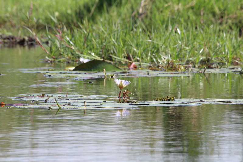 Южно-африканские приключения часть 2 20000 км (Намибия, Ботсвана, Замбия, Малави, Мозамбик) октябрь-декабрь 2025