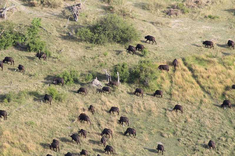 Южно-африканские приключения часть 2 20000 км (Намибия, Ботсвана, Замбия, Малави, Мозамбик) октябрь-декабрь 2025