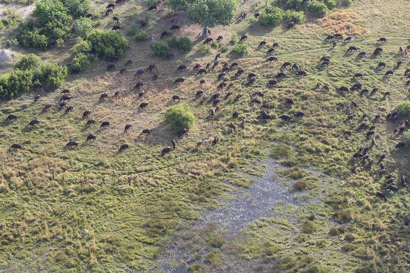 Южно-африканские приключения часть 2 20000 км (Намибия, Ботсвана, Замбия, Малави, Мозамбик) октябрь-декабрь 2025