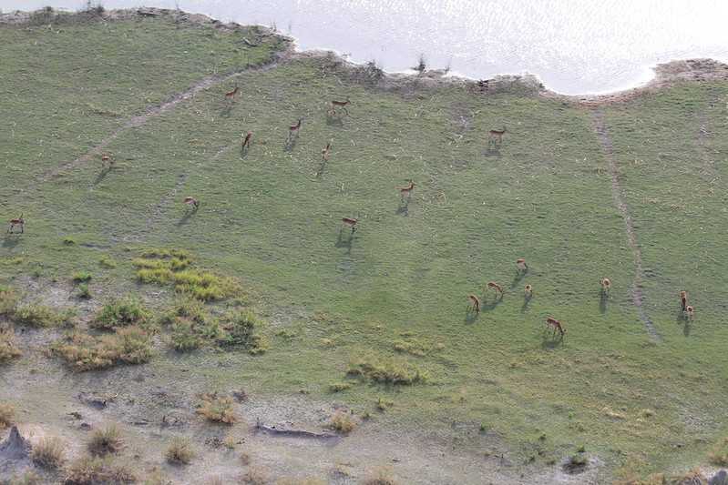 Южно-африканские приключения часть 2 20000 км (Намибия, Ботсвана, Замбия, Малави, Мозамбик) октябрь-декабрь 2025