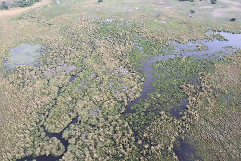 Южно-африканские приключения часть 2 20000 км (Намибия, Ботсвана, Замбия, Малави, Мозамбик) октябрь-декабрь 2025