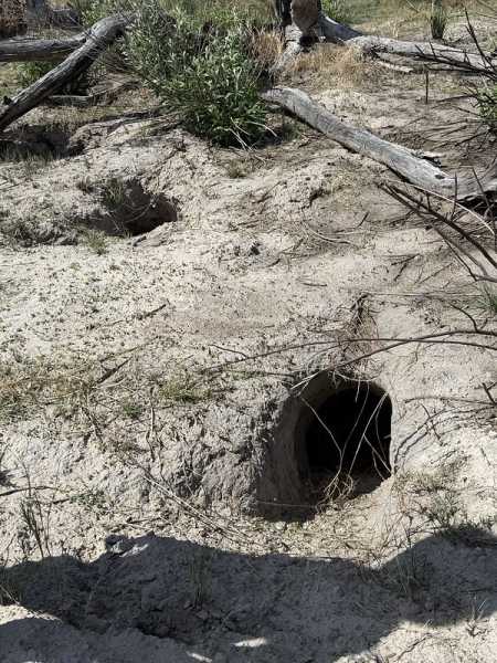 Южно-африканские приключения часть 2 20000 км (Намибия, Ботсвана, Замбия, Малави, Мозамбик) октябрь-декабрь 2025