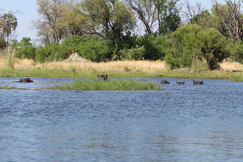 Южно-африканские приключения часть 2 20000 км (Намибия, Ботсвана, Замбия, Малави, Мозамбик) октябрь-декабрь 2025