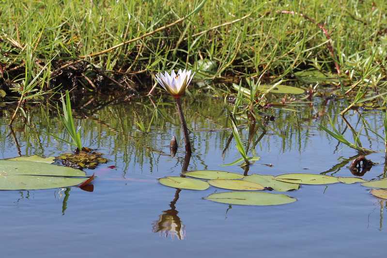 Южно-африканские приключения часть 2 20000 км (Намибия, Ботсвана, Замбия, Малави, Мозамбик) октябрь-декабрь 2025