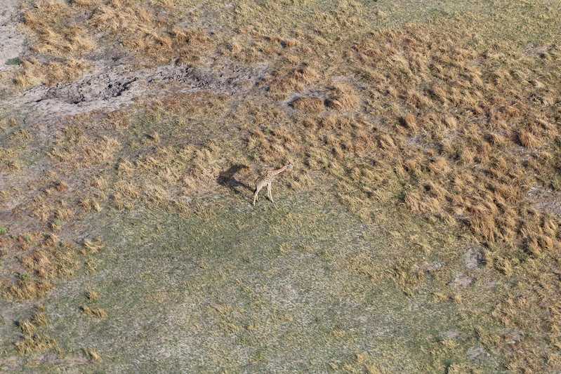 Южно-африканские приключения часть 2 20000 км (Намибия, Ботсвана, Замбия, Малави, Мозамбик) октябрь-декабрь 2025