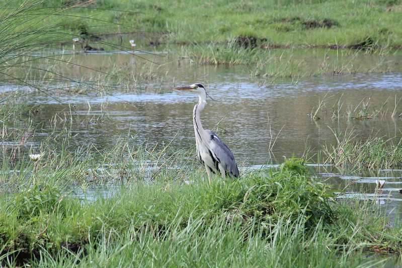 Южно-африканские приключения часть 2 20000 км (Намибия, Ботсвана, Замбия, Малави, Мозамбик) октябрь-декабрь 2025