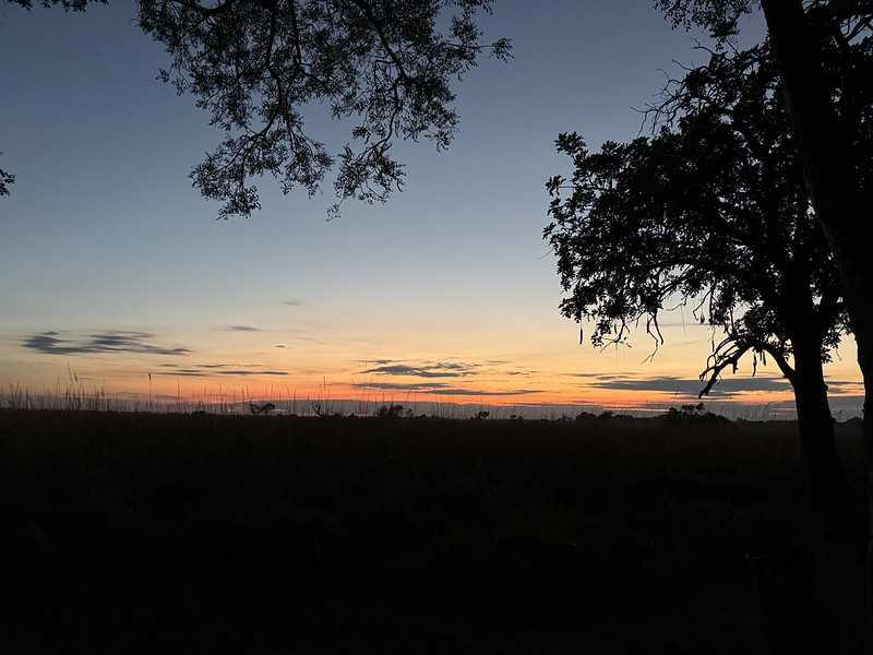 Южно-африканские приключения часть 2 20000 км (Намибия, Ботсвана, Замбия, Малави, Мозамбик) октябрь-декабрь 2025