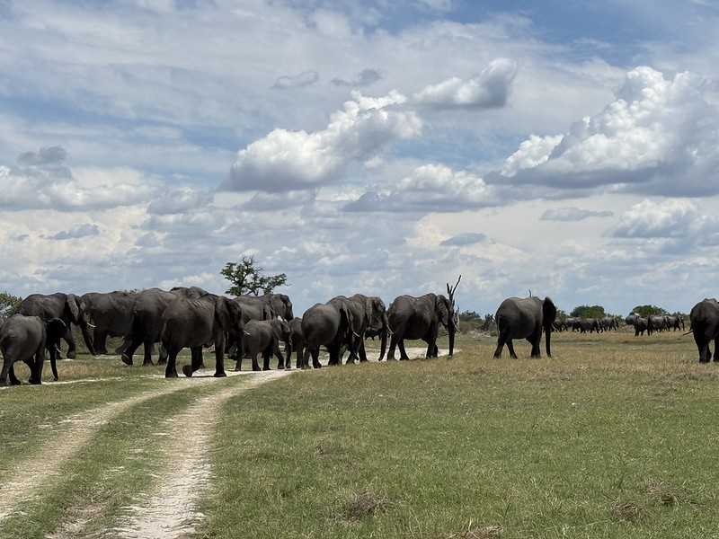 Южно-африканские приключения часть 2 20000 км (Намибия, Ботсвана, Замбия, Малави, Мозамбик) октябрь-декабрь 2025