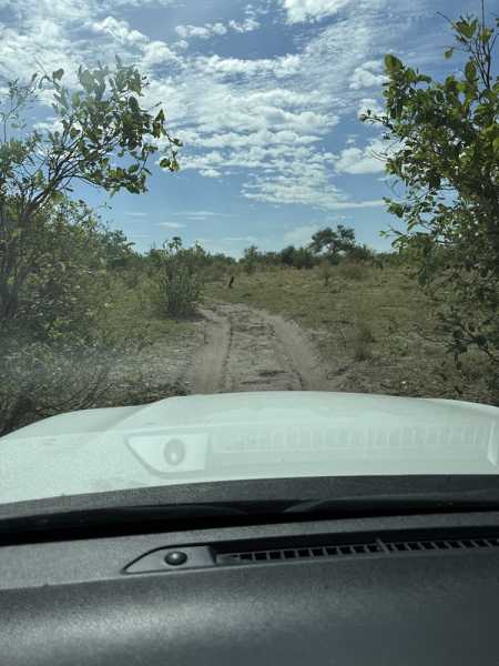 Южно-африканские приключения часть 2 20000 км (Намибия, Ботсвана, Замбия, Малави, Мозамбик) октябрь-декабрь 2025