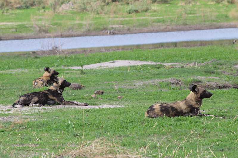 Южно-африканские приключения часть 2 20000 км (Намибия, Ботсвана, Замбия, Малави, Мозамбик) октябрь-декабрь 2025