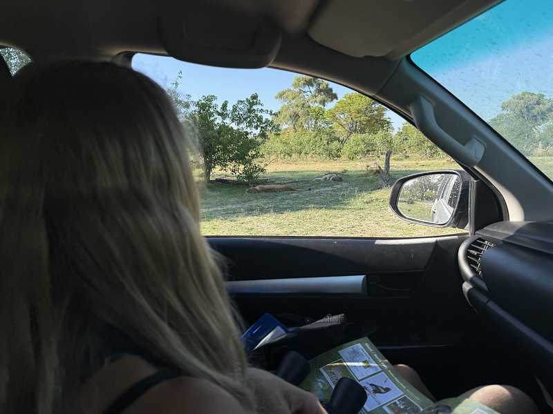 Южно-африканские приключения часть 2 20000 км (Намибия, Ботсвана, Замбия, Малави, Мозамбик) октябрь-декабрь 2025