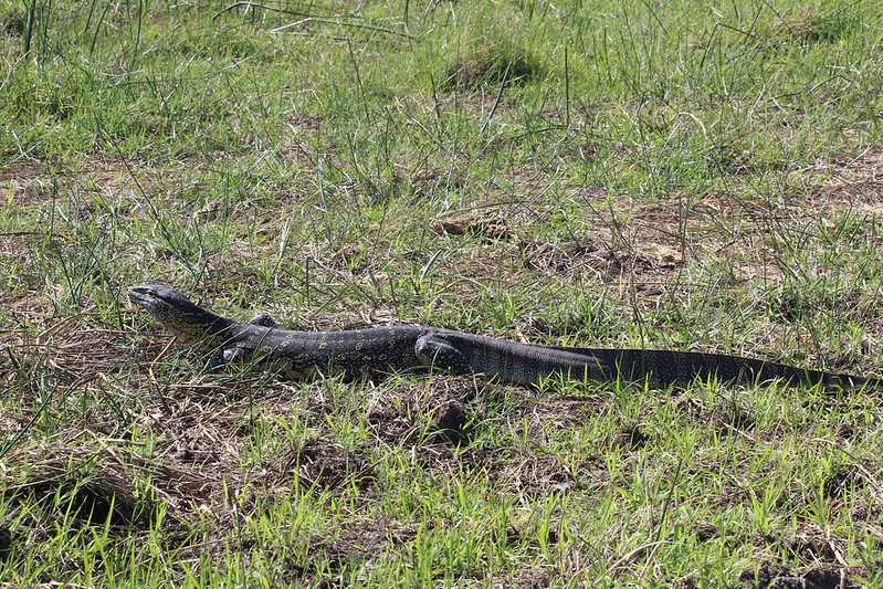 Южно-африканские приключения часть 2 20000 км (Намибия, Ботсвана, Замбия, Малави, Мозамбик) октябрь-декабрь 2025