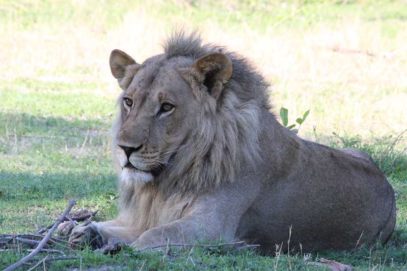 Южно-африканские приключения часть 2 20000 км (Намибия, Ботсвана, Замбия, Малави, Мозамбик) октябрь-декабрь 2025