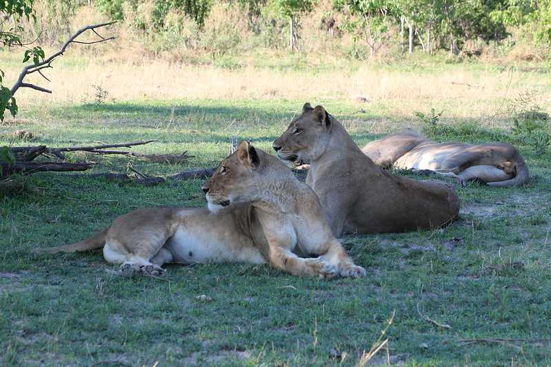 Южно-африканские приключения часть 2 20000 км (Намибия, Ботсвана, Замбия, Малави, Мозамбик) октябрь-декабрь 2025