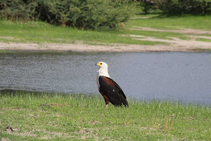 Южно-африканские приключения часть 2 20000 км (Намибия, Ботсвана, Замбия, Малави, Мозамбик) октябрь-декабрь 2025