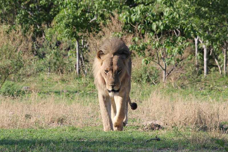 Южно-африканские приключения часть 2 20000 км (Намибия, Ботсвана, Замбия, Малави, Мозамбик) октябрь-декабрь 2025