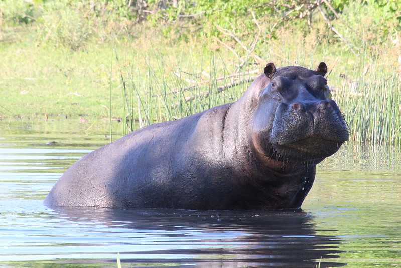 Южно-африканские приключения часть 2 20000 км (Намибия, Ботсвана, Замбия, Малави, Мозамбик) октябрь-декабрь 2025