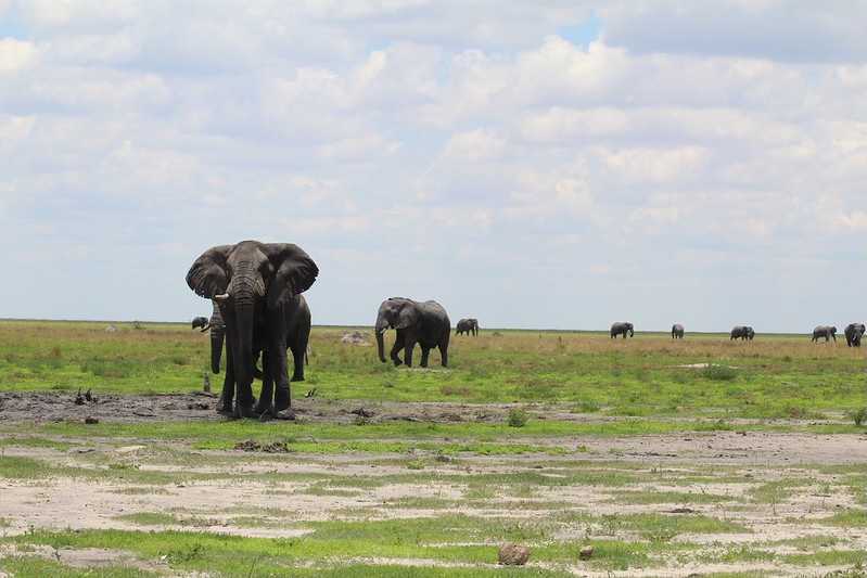 Южно-африканские приключения часть 2 20000 км (Намибия, Ботсвана, Замбия, Малави, Мозамбик) октябрь-декабрь 2025