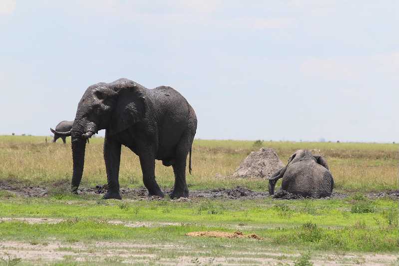 Южно-африканские приключения часть 2 20000 км (Намибия, Ботсвана, Замбия, Малави, Мозамбик) октябрь-декабрь 2025