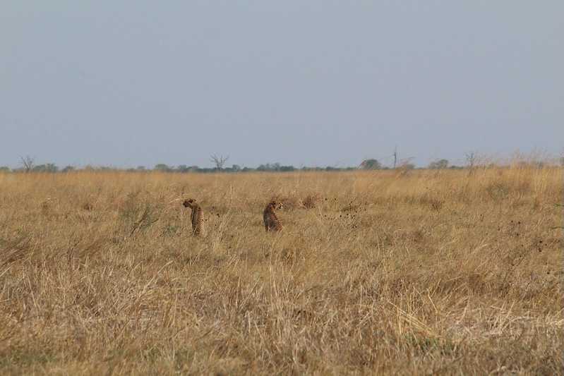 Южно-африканские приключения часть 2 20000 км (Намибия, Ботсвана, Замбия, Малави, Мозамбик) октябрь-декабрь 2025