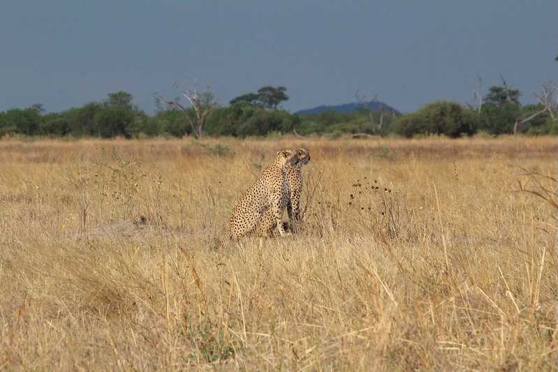 Южно-африканские приключения часть 2 20000 км (Намибия, Ботсвана, Замбия, Малави, Мозамбик) октябрь-декабрь 2025