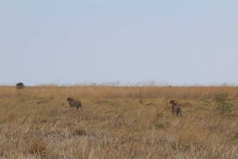 Южно-африканские приключения часть 2 20000 км (Намибия, Ботсвана, Замбия, Малави, Мозамбик) октябрь-декабрь 2025