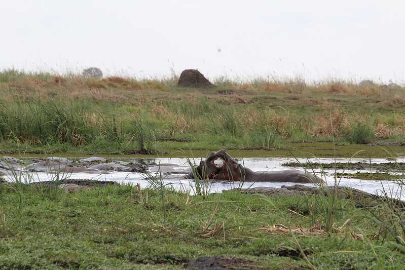 Южно-африканские приключения часть 2 20000 км (Намибия, Ботсвана, Замбия, Малави, Мозамбик) октябрь-декабрь 2025